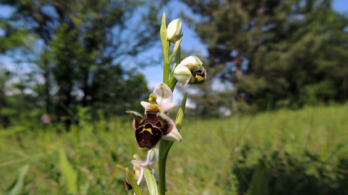 Изложба "Опрашване" в Израел търси отгов...