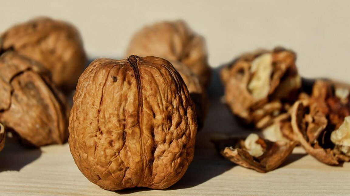 Орах – снага за мозак, радост за стомак