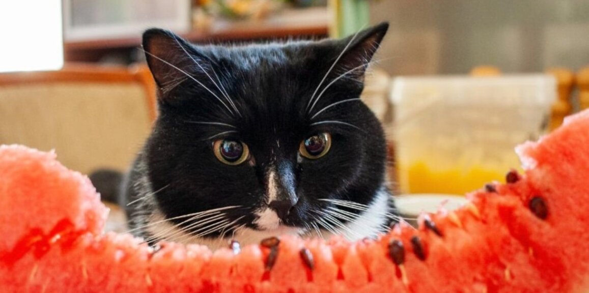 На 23 август с вашето Радио