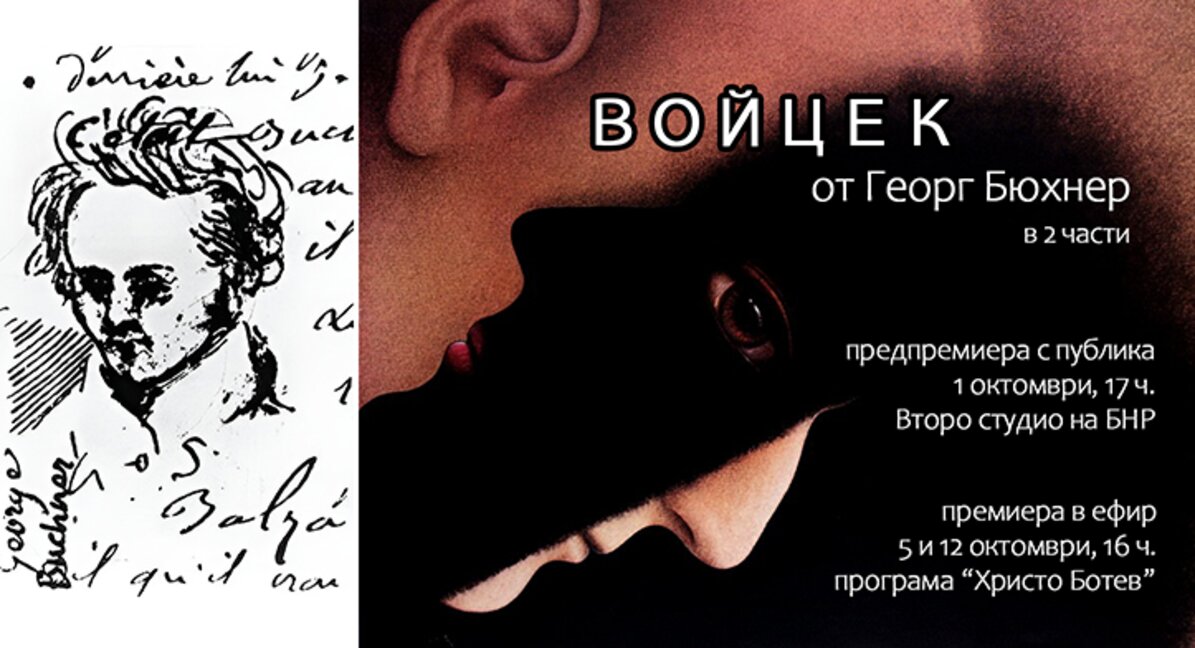 Лудостта като социален феномен във "Войц...