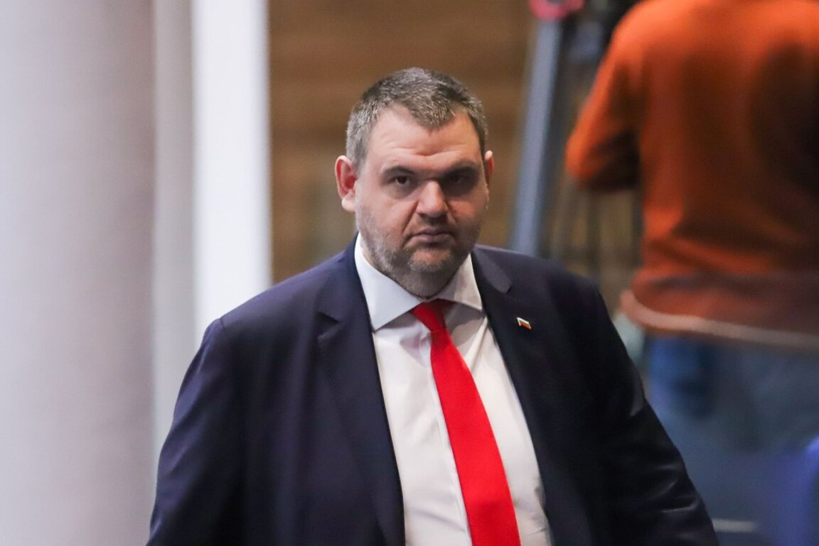 Председателят на парламентарната гупа на ДПС Делян Пеевски