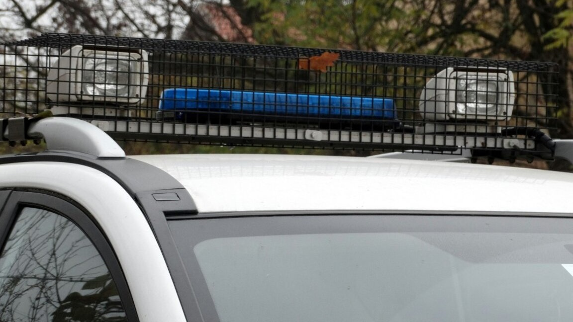 Трима шофьори са задържани във Видинско ...