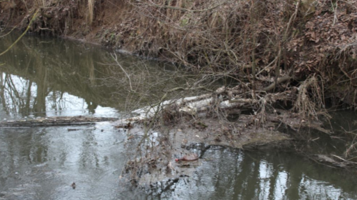 Снимката е илюстративна