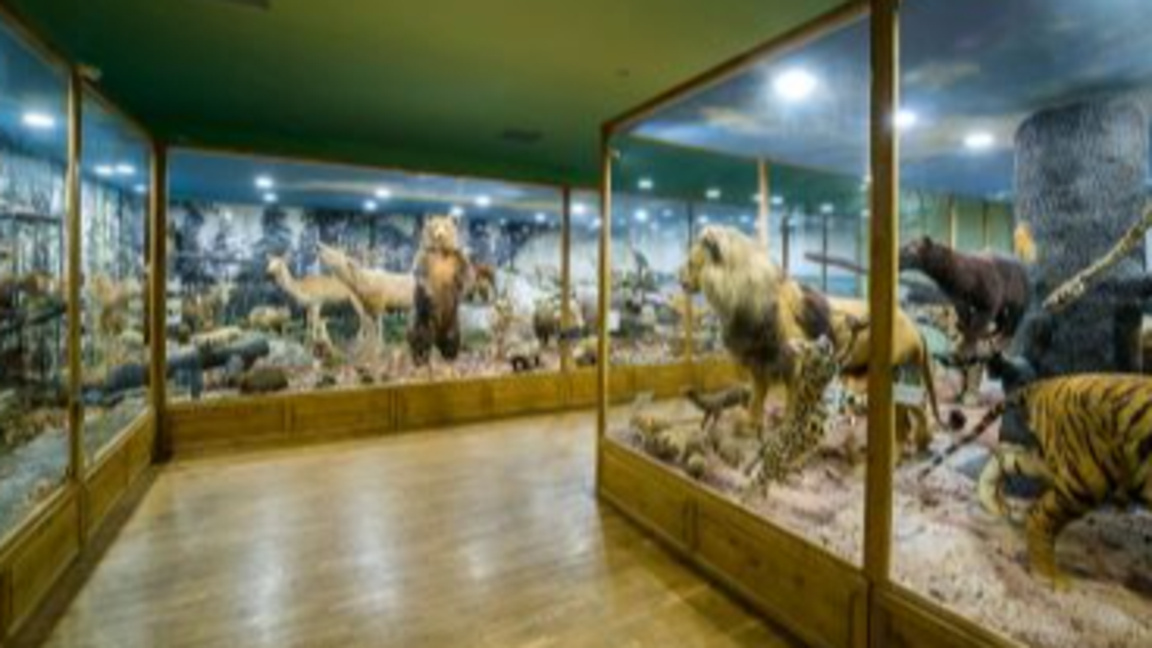 Отбелязват 70 години от създаването на П...