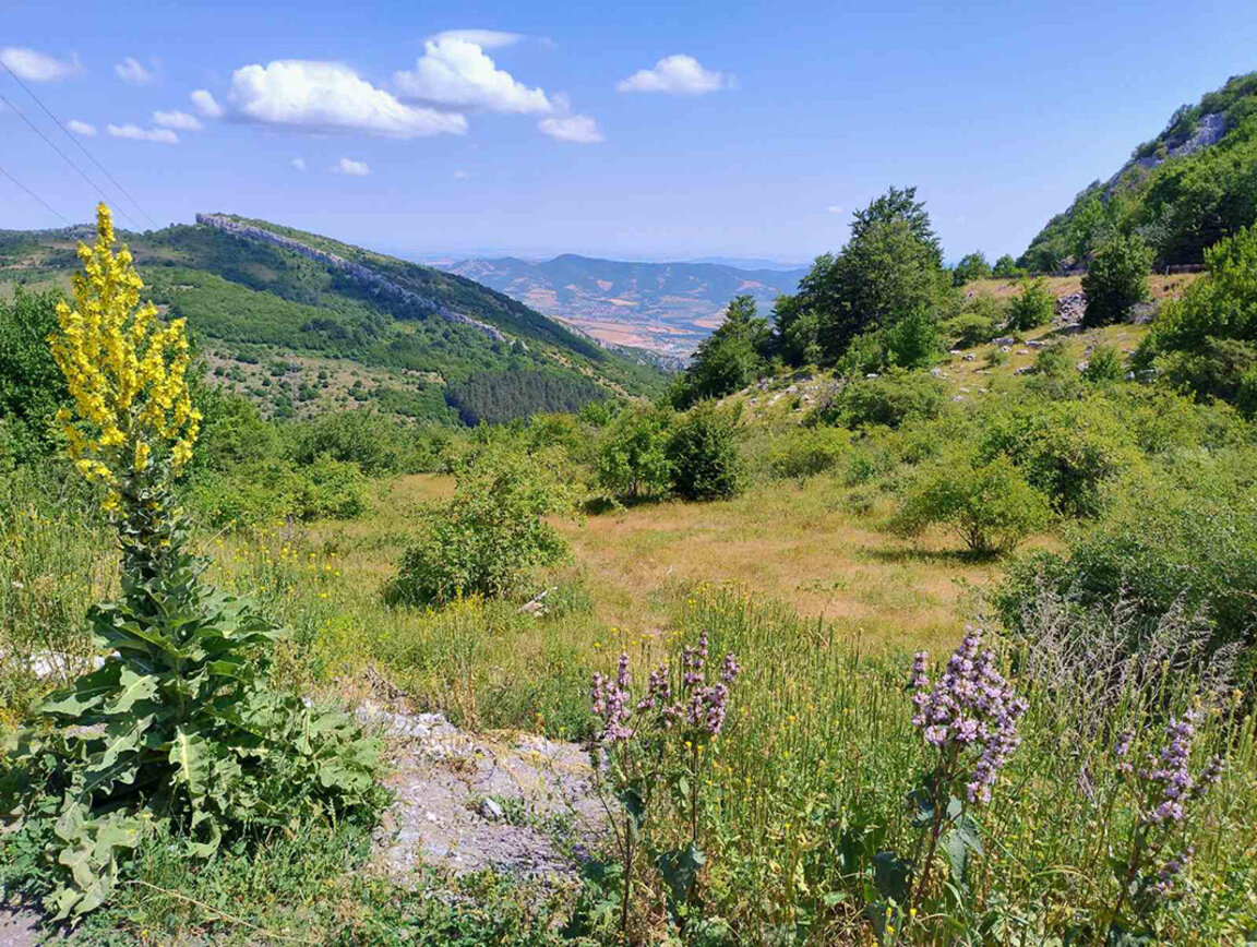 Captivating views in Vrachanski Balkan...