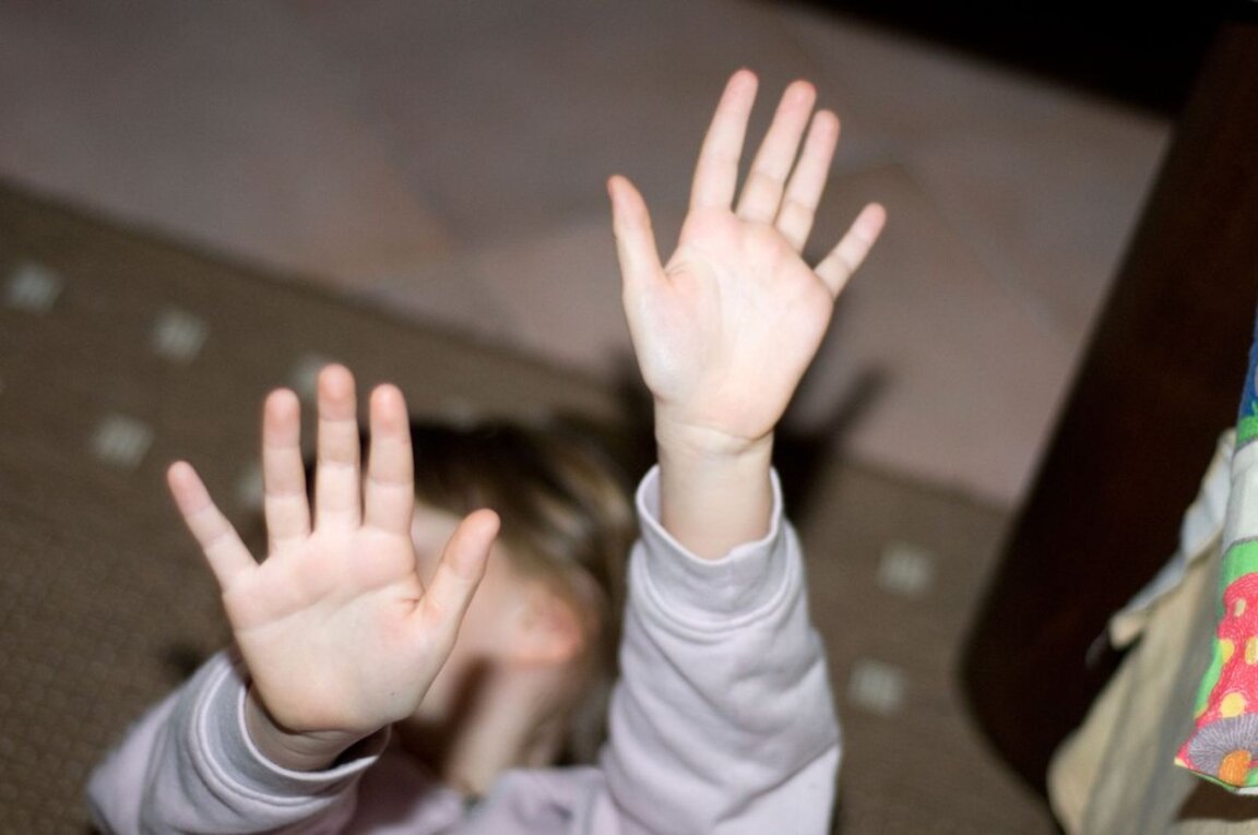 Детската агресия по тънкия лед между авт...