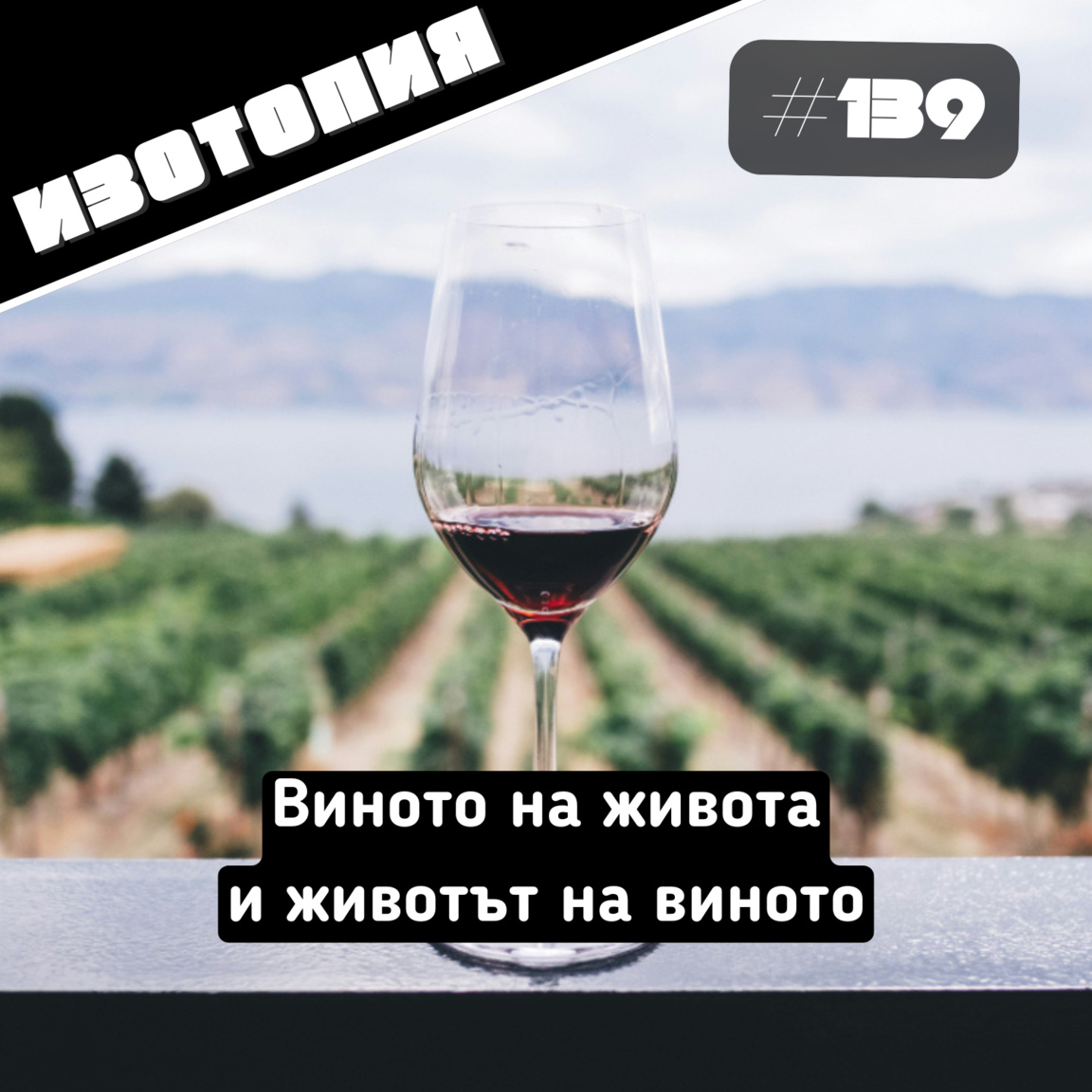 Виното на живота и животът на виното...