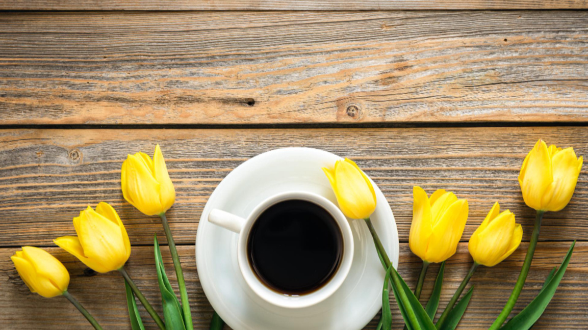 „Отвори очи от 7 до 10 с БНР-Бургас“ на ...