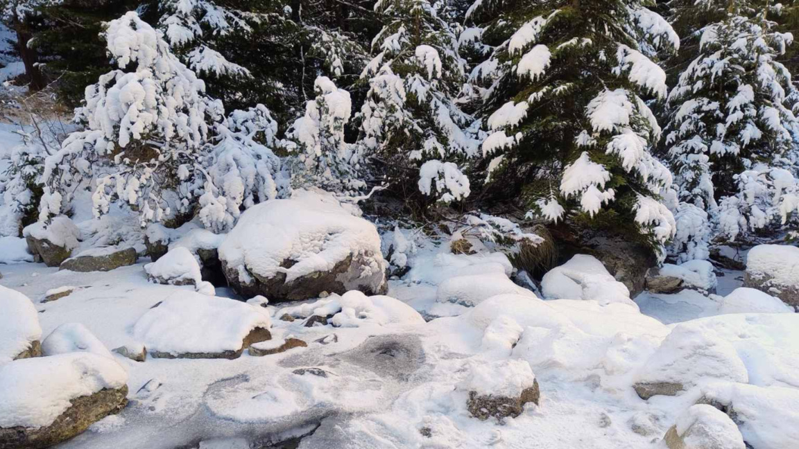 Снежна приказка