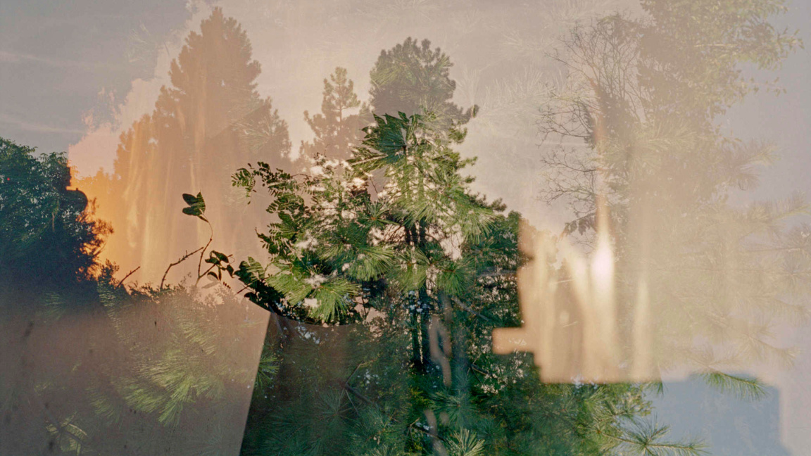 Ло̀но: дебютна изложба на Йоана Ангелова...