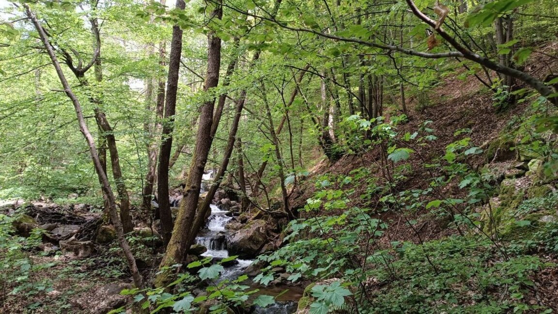 A wonderful walk near Sofia - from Kladnitsa to "Zhivata Voda"