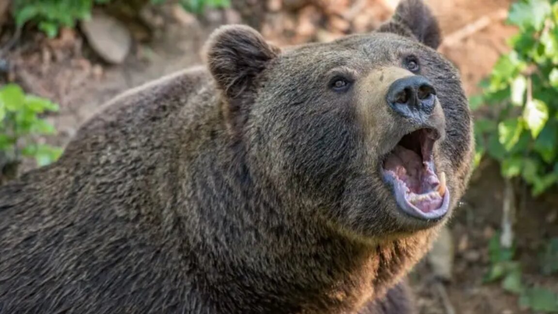 Илюстративна снимка