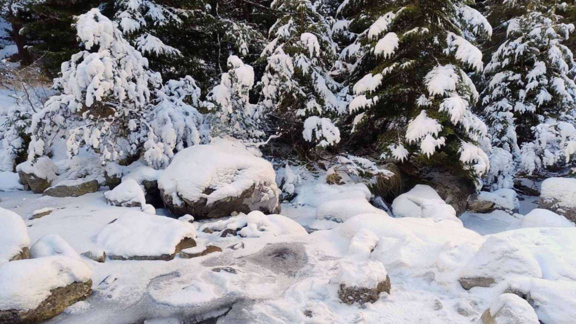 Parashikimi i motit për fundjavën 