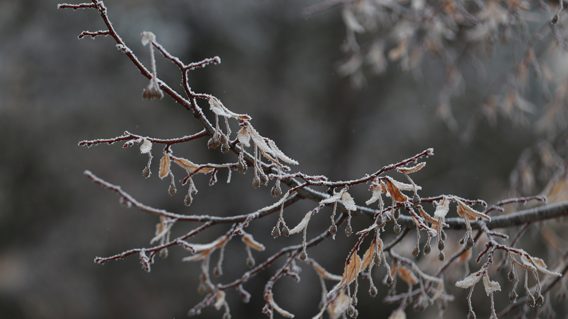 прогноза за времето Студена вълна с дъжд и сняг ще премине през страната